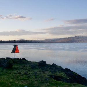 人与马性交手机在线观看
